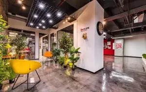 Keller Williams Platin Karma ofisinin bitkilerle dolu giriş ve bekleme alanı